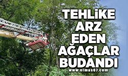 Tehlike arz eden ağaçlar budandı