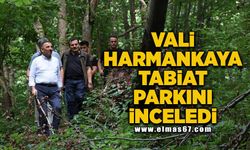 Vali Harmankaya tabiat parkını inceledi