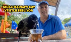 Yaralı olarak bulduğu kargayı çay ve etle besliyor