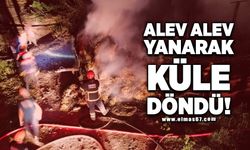 Alev alev yanarak küle döndü!