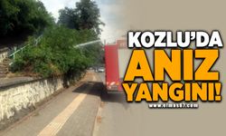 Kozlu'da anız yangını!