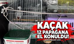 Kaçak 12 papağana el konuldu!