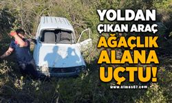 Yoldan çıkan araç ağaçlık alana uçtu