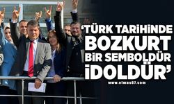 “Türk tarihinde ‘Bozkurt’ bir semboldür, idoldür”