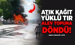 Atık kağıt yüklü tır alev topuna döndü