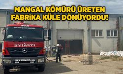 Mangal kömürü üreten fabrika az kalsın küle dönüyordu