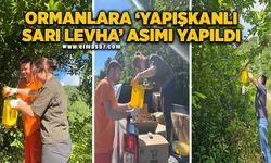 Ormanlara ‘yapışkanlı sarı levha’ asımı gerçekleştirildi