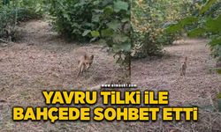 Yavru tilki ile bahçede sohbet etti