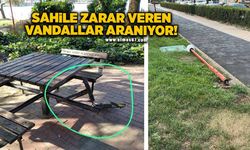 Sahile zarar veren vandallar aranıyor!