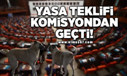 Sokak hayvanlarına yönelik yasa teklifi komisyondan geçti