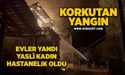 Yangında 2 ev küle döndü, 1 kişi hastanelik oldu