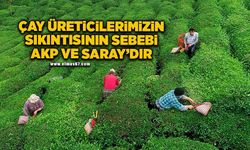 “Çay üreticilerimizin yaşadığı sıkıntının nedeni AKP iktidarıdır”