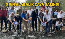 5 bin alabalık çaya salındı