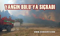 Yangın Bolu'ya sıçradı