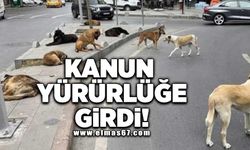 Kanun yürürlüğü girdi!