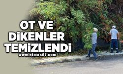 Yol boyu ot ve dikenler temizlendi