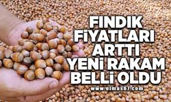 Fındık fiyatları arttı: Yeni rakam belli oldu