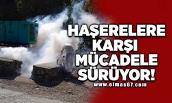 Haşerelere karşı mücadele sürüyor!