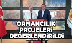 Ormancılık projeleri değerlendirildi