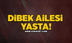 Dibek ailesi yasta!