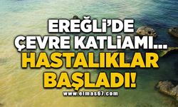 Ereğli'de çevre katliamı... Hastalıklar başladı!