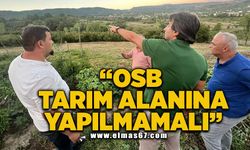 "OSB Tarım alanına yapılmamalı!"