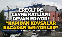 Ereğli'de çevre katliamı devam ediyor...  “Kapıdan kovsalar bacadan giriyorlar”