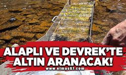 Alaplı ve Devrek'te altın aranacak!