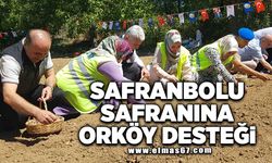 Safranbolu safranına orköy desteği!