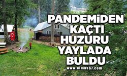 Pandemiden kaçtı huzuru yaylada buldu!