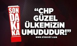 "CHP Güzel ülkemizin umududur"