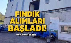 Fındık alımları başladı!