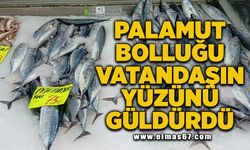 Palamut bolluğu vatandaşın yüzünü güldürüyor