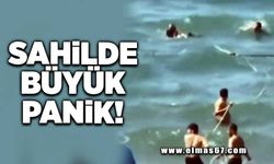 Sahilde büyük panik!