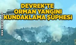 Devrek'te orman yangını! Kundaklama şüphesi!