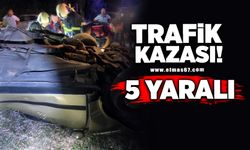 Trafik kazası: 5 yaralı