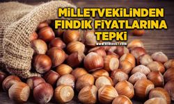 Milletvekilinden fındık fiyatlarına tepki