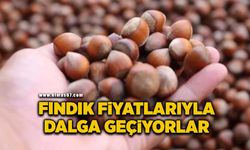 Fındık alım fiyatlarına tepki: Dalga geçiyorlar