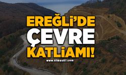 EREĞLİ'DE ÇEVRE KATLİAMI!