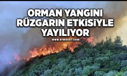 Orman yangını rüzgarın etkisiyle yayılıyor