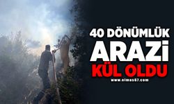 40 dönümlük arazi kül oldu