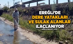 EREĞLİ’DE DERE YATAKLARI VE SULAK ALANLAR İLAÇLANIYOR