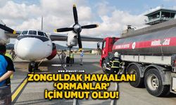 Zonguldak Havaalanı ‘ormanlar’ için umut oldu!