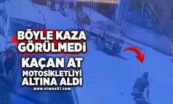 Böyle kaza görülmedi: Kaçan at, motosikletliyi altına aldı