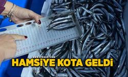 Hamsi avcılığına kota uygulaması getirildi