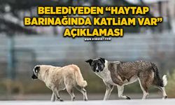 Belediyeden ‘HAYTAP Barınağında Katliam Var’ açıklaması