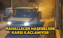 Mahalleler haşerelere karşı ilaçlanıyor