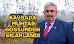 Kavgada mahalle muhtarı göğsünden bıçaklandı