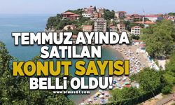 Temmuz ayında satılan konut sayısı belli oldu!