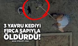 Vahşet: 3 yavru kediyi fırça sapıyla öldürdü